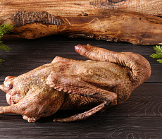 Гусь (дикий) осенний 