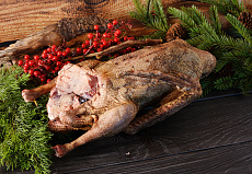 Гусь (дикий) осенний 